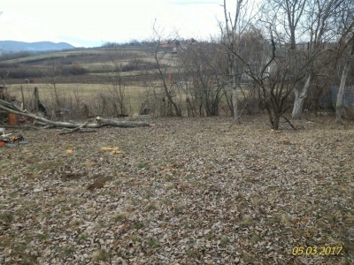 Kragujevac Plac Petrovac