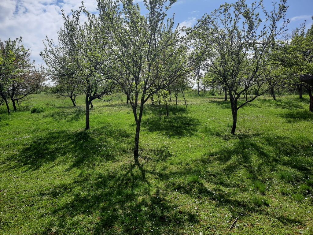 Kragujevac Kuća cetvorosoban i veci Marsic