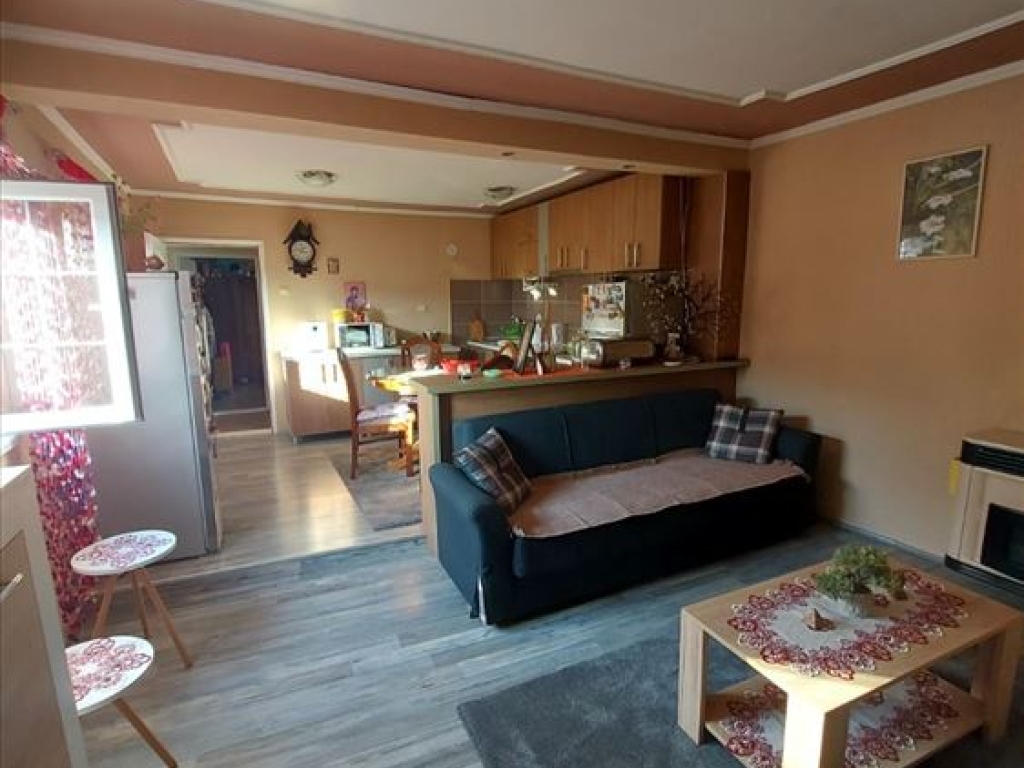 Kragujevac Kuća cetvorosoban i veci Bresnica