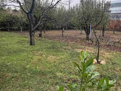 Kragujevac Kuća cetvorosoban i veci Teferic